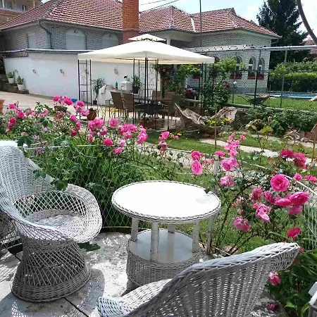 Sa Pogledom Na Dunav - Akademik * Veliko Gradište