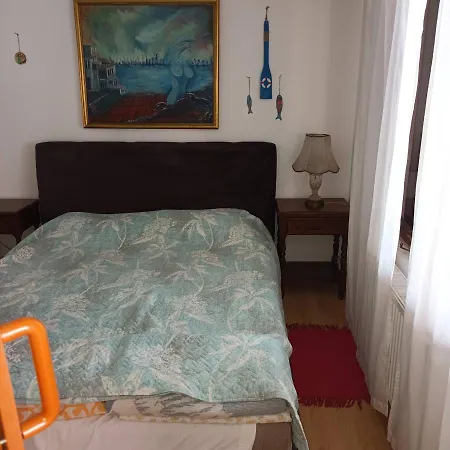 Sa Pogledom Na Dunav - Akademik