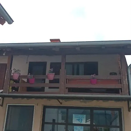 Sa Pogledom Na Dunav - Akademik