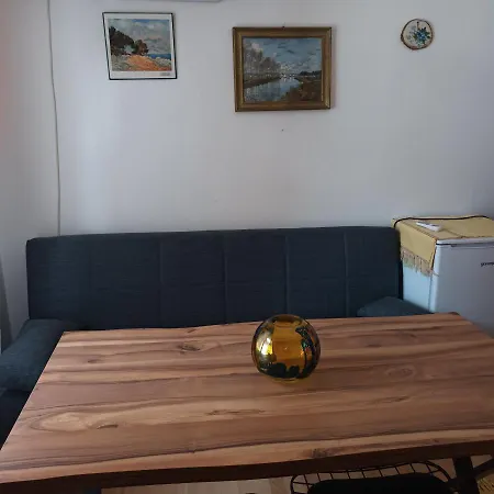 Sa Pogledom Na Dunav - Akademik דירה *