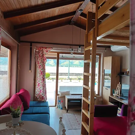 Sa Pogledom Na Dunav - Akademik *