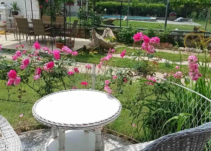 Sa Pogledom Na Dunav - Akademik * Veliko Gradište