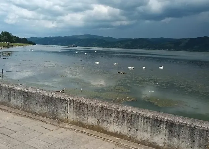 Sa Pogledom Na Dunav - Akademik