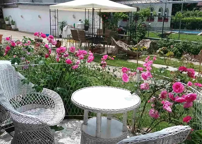 Sa Pogledom Na Dunav - Akademik * Veliko Gradište