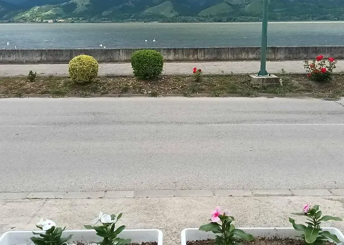 Sa Pogledom Na Dunav - Akademik Veliko Gradište