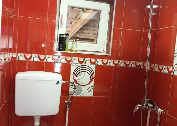 Sa Pogledom Na Dunav - Akademik *