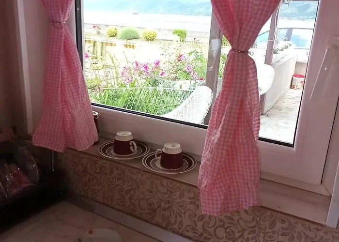 Sa Pogledom Na Dunav - Akademik *