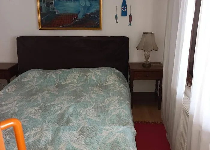 Sa Pogledom Na Dunav - Akademik