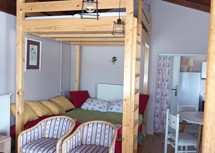 Sa Pogledom Na Dunav - Akademik