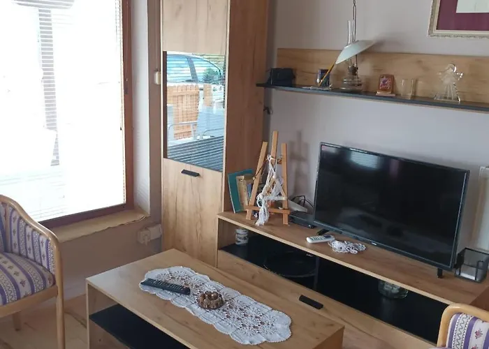 Sa Pogledom Na Dunav - Akademik Veliko Gradište