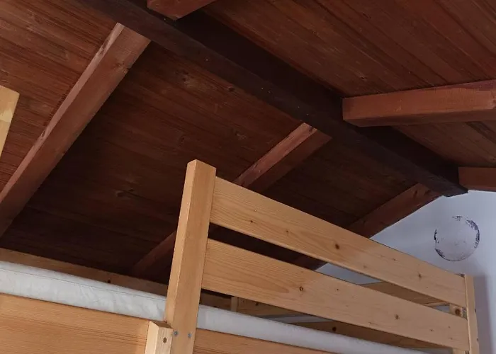 Sa Pogledom Na Dunav - Akademik