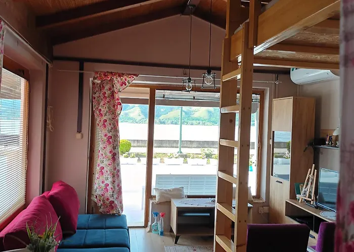 Sa Pogledom Na Dunav - Akademik *